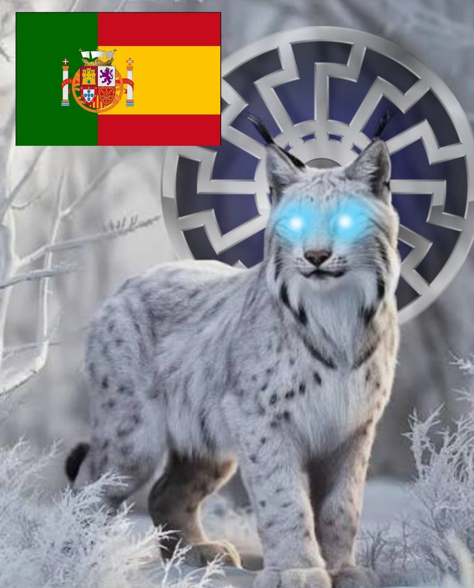 Eu acredito num etno-estado ibérico como alternativa à solução bi-estatal atual.