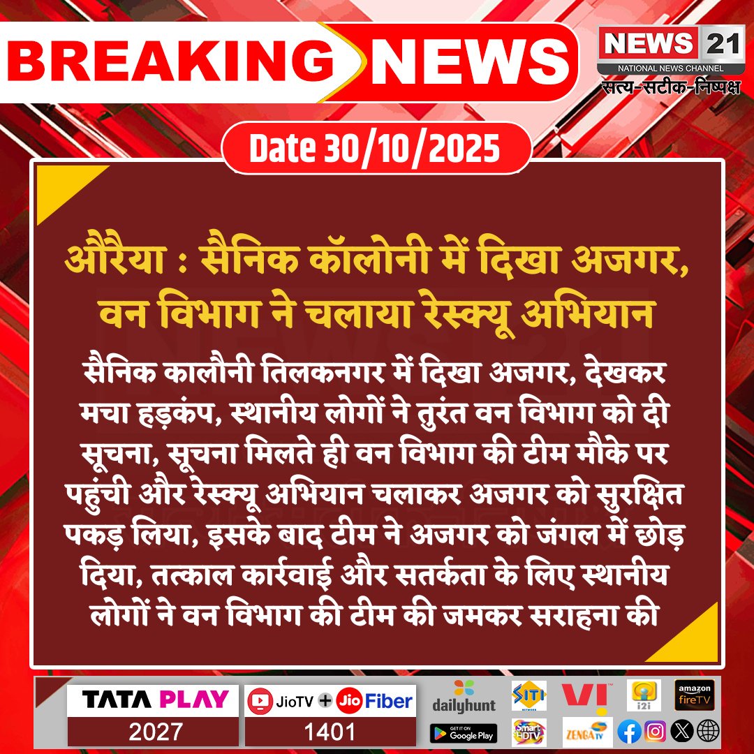 news21national's tweet image. #Auraiya : सैनिक कॉलोनी में दिखा अजगर, वन विभाग ने चलाया रेस्क्यू अभियान

#Auraiya #PythonRescue #ForestDepartment #WildlifeConservation #AnimalRescue #UttarPradesh #breakingnews‌ #LatestNews #news21national
