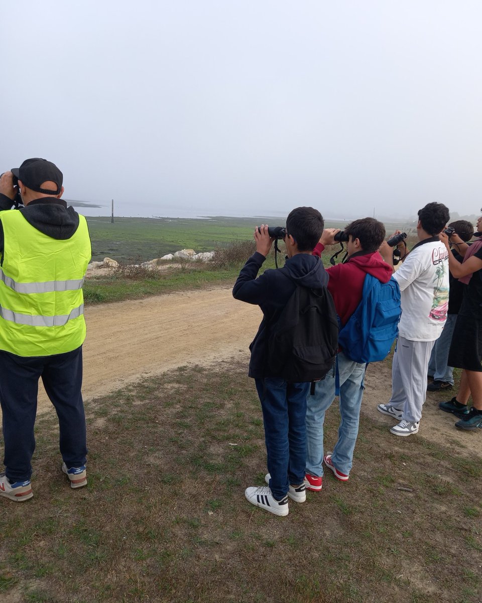 Iberalex_Poctep's tweet photo. 🐦 El #InterregDay2025 llegó a Gafanha da Encarnação (Aveiro, 🇵🇹) 💚
Estudiantes participaron en una salida de campo para observar y fotografiar aves, aprendiendo sobre su hábitat y conservación 🌿📸
#IBERALEX #POCTEP #ChorlitejoPatinegro #CooperationDay #Aveiro https://t.co/jkDsmyQLQU