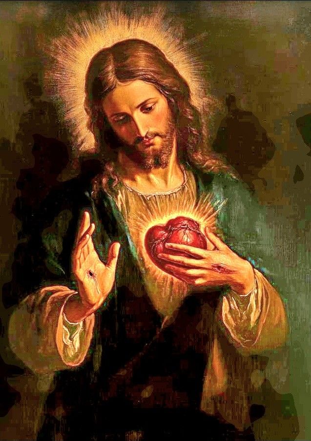 Catholic Quotes tweet media