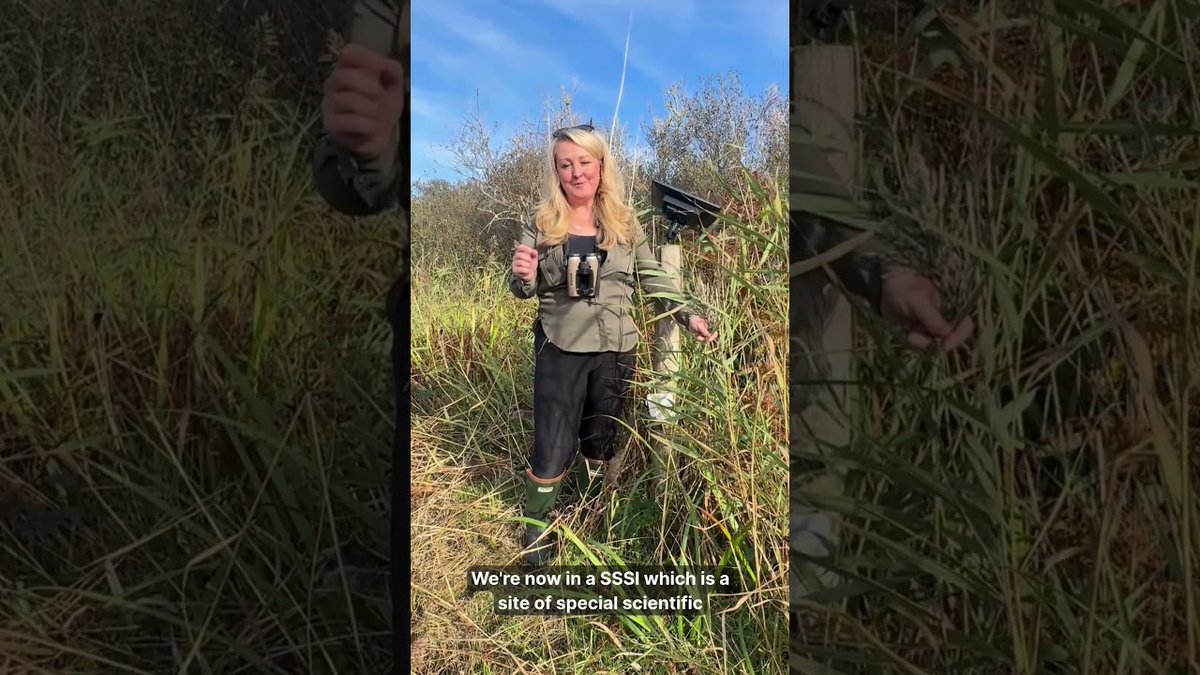 AgriSoundTech's tweet image. On the Isles of Scilly, AgriSound is turning sound into science. 🐝
Polly™ are tracking pollinators for the Small is Beautiful project - helping guide local action for biodiversity recovery. @ScillyWildlife 📽️ watch the video - hubs.ly/Q03Qqy440  #Biodiversity #Pollinators