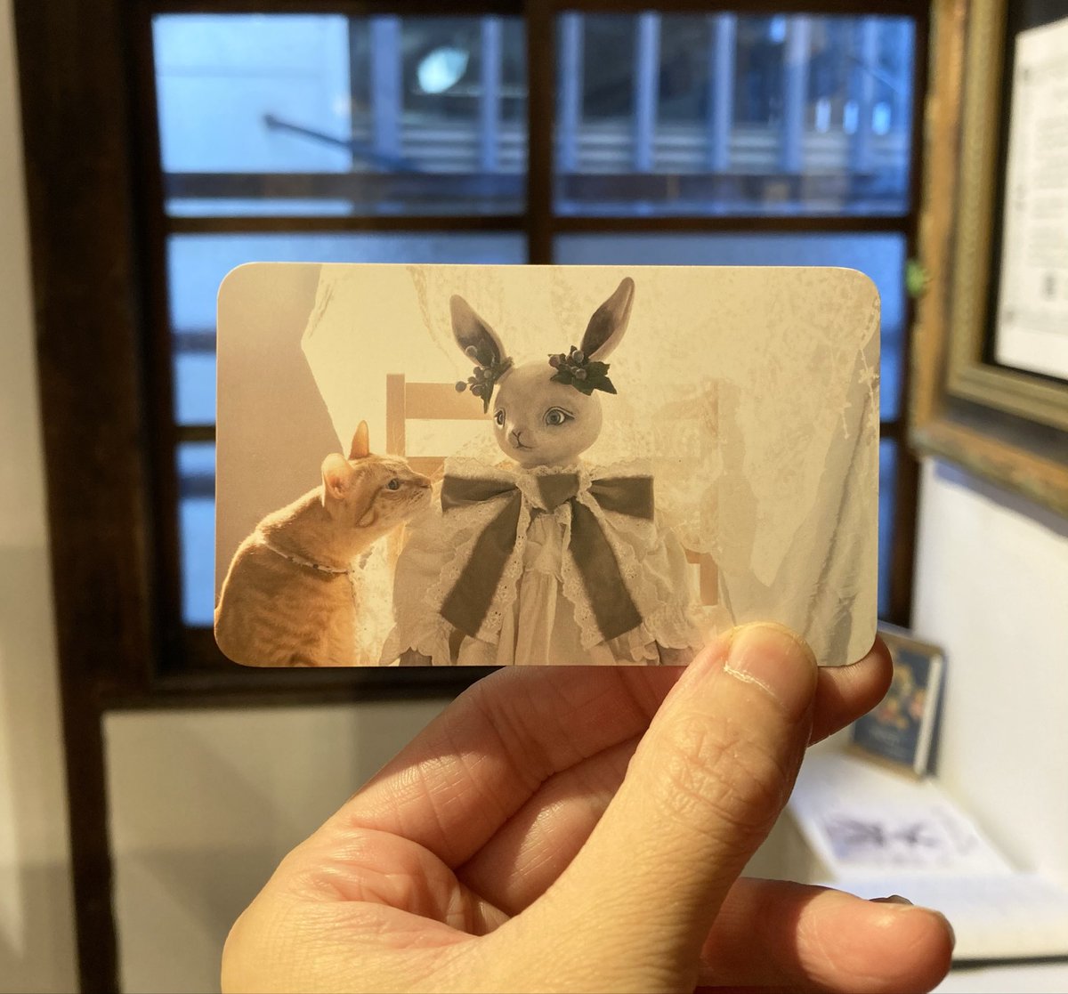 本日も【#記憶に揺れる花】終了致しました🌙
お越し下さった皆様方、有難うございました！

「これが入稿したかったやつ」という正しい名刺も届きましたので設置致しました🐈
間違えた方も置いてあります。
明日はぴこうさは在廊出来ませんがお店は開いておりますので、どうぞ見比べに来て下さいね！✨