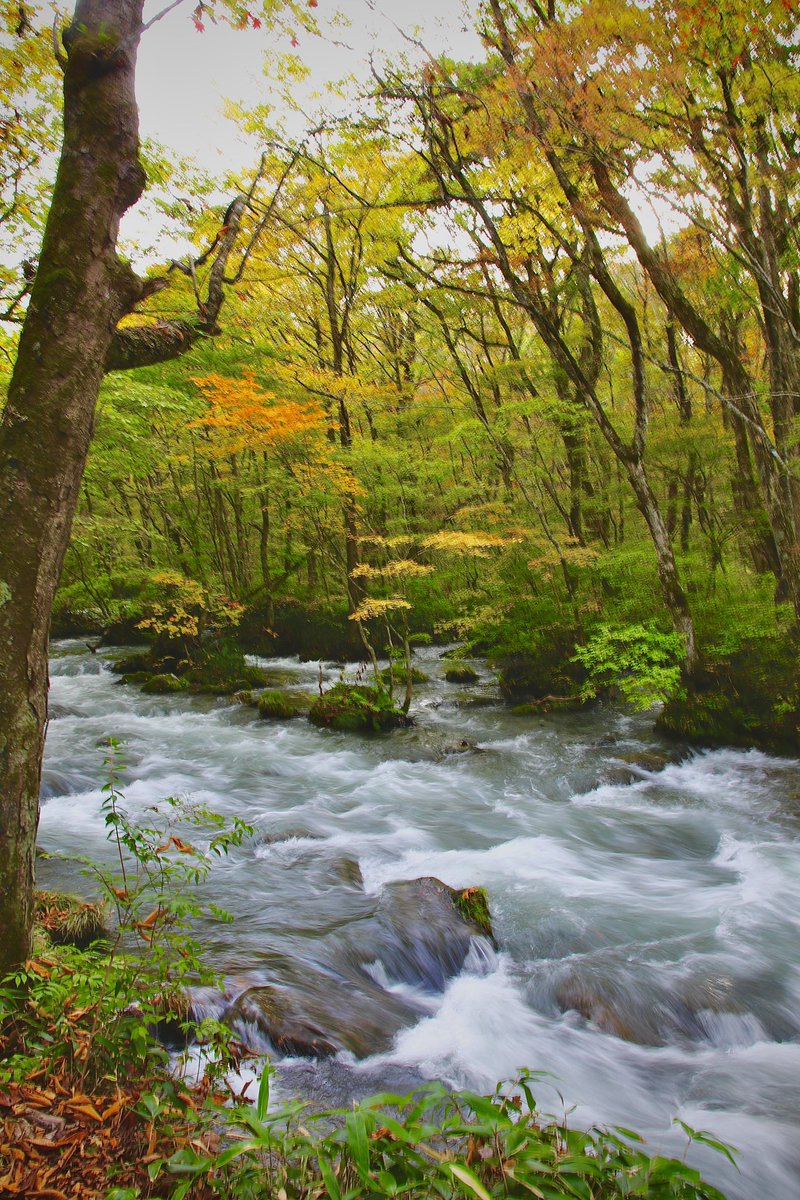 RUN (@run474) / Posts / X