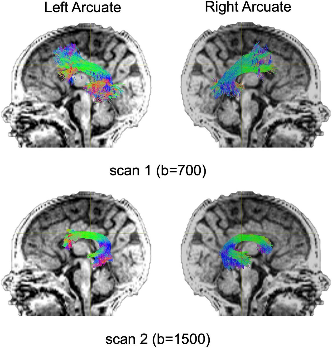 Brandon Luu, MD tweet media