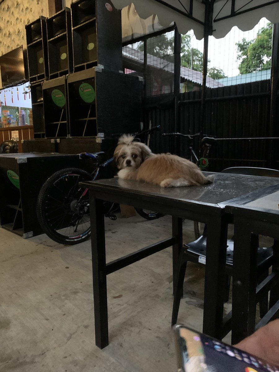 Gm future crypto millionaires ☕️

Locking tf in!