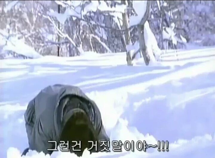 없는게 없는 특촬 tweet media