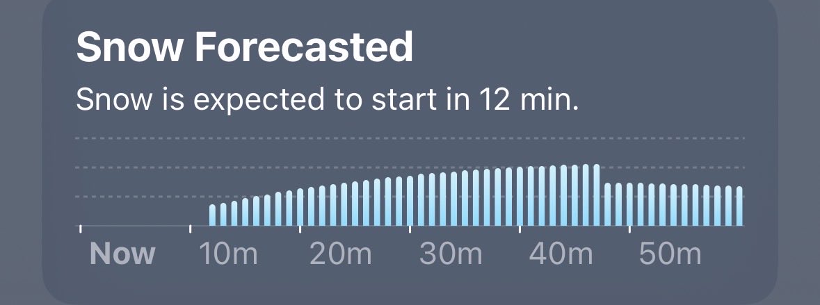 Tyler McLellan tweet media