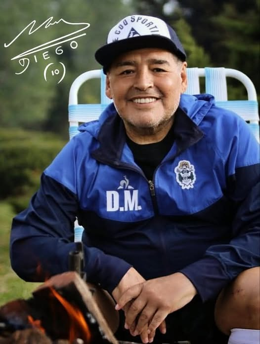 Ariel Palumbo tweet media