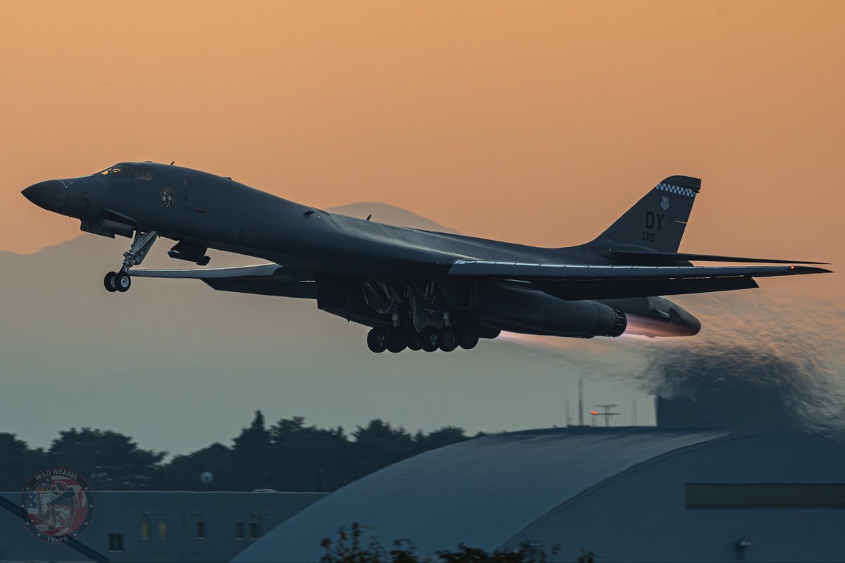 Wild Weasel tweet media