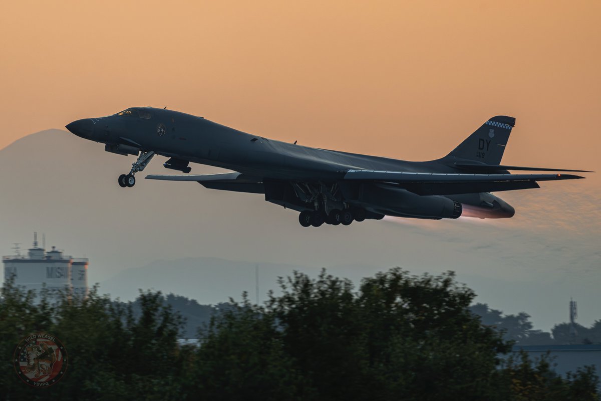 Wild Weasel tweet media