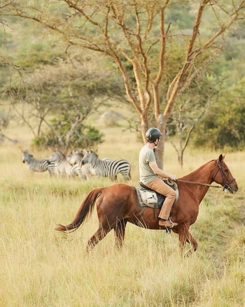 VoyageBalquees's tweet photo. Experience Lake Mburo like never before on horseback! 
Ride through open savannahs, spot zebras, giraffes, and antelopes up close, and feel the true rhythm of Uganda’s wild beauty.
#mburonationalpark https://t.co/hkavILxAQC