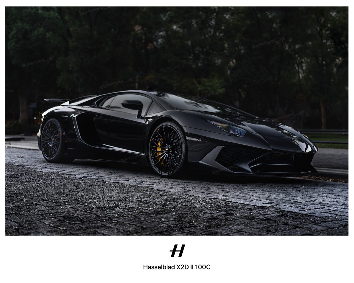 XIII_STUDIO's tweet photo. Hasselblad X2D II

ダイナミックレンジの広さがもたらす描写力。
黒という色の中に、これほどまで豊かな表情が生まれる

Aventador SVが放つ独自のオーラまで奪い撮る
事が出来た。

その存在感と生々しさは、
まるで命が宿っているかのようだ。 https://t.co/JPdjJj5C8U