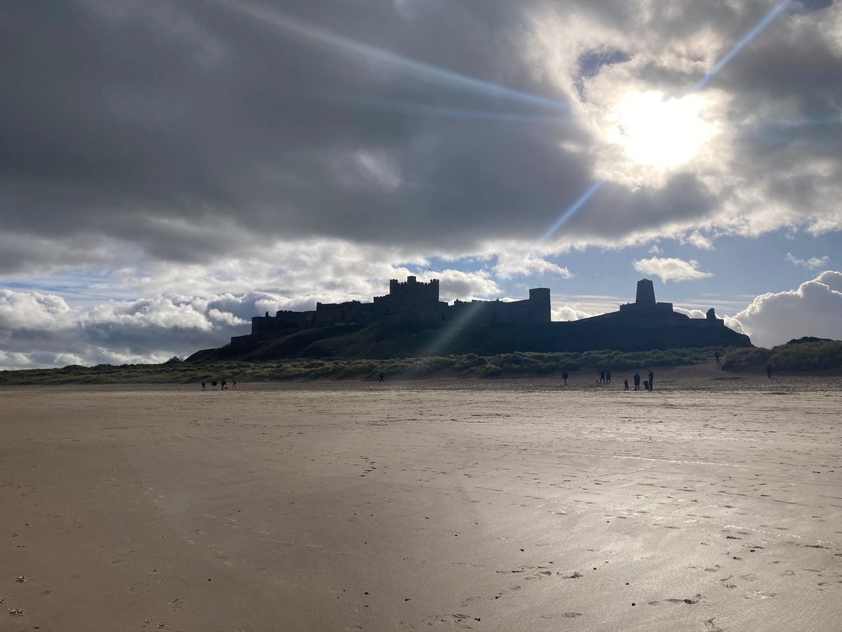 DataEducator's tweet image. 