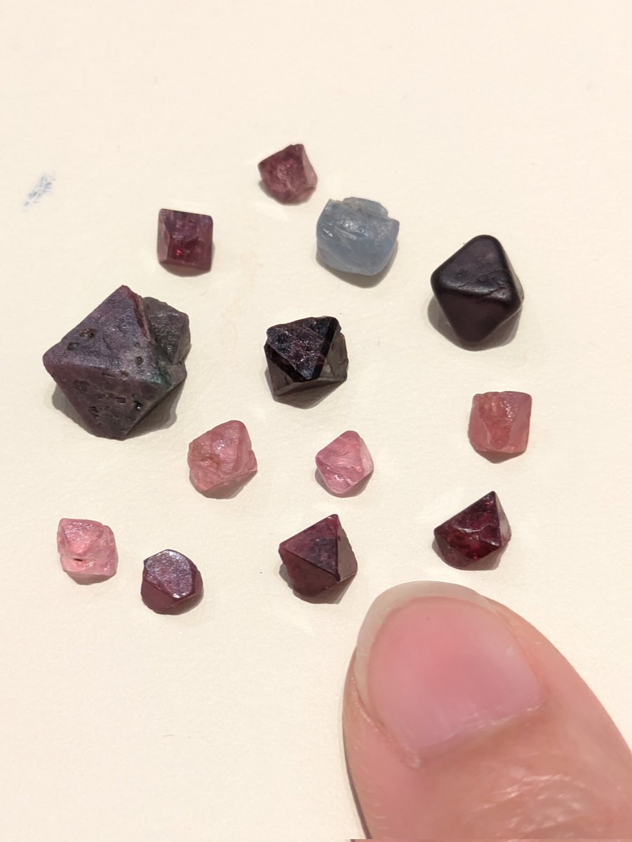 ❤トリマリンさま❤❤✨ ぱやりぃ on X