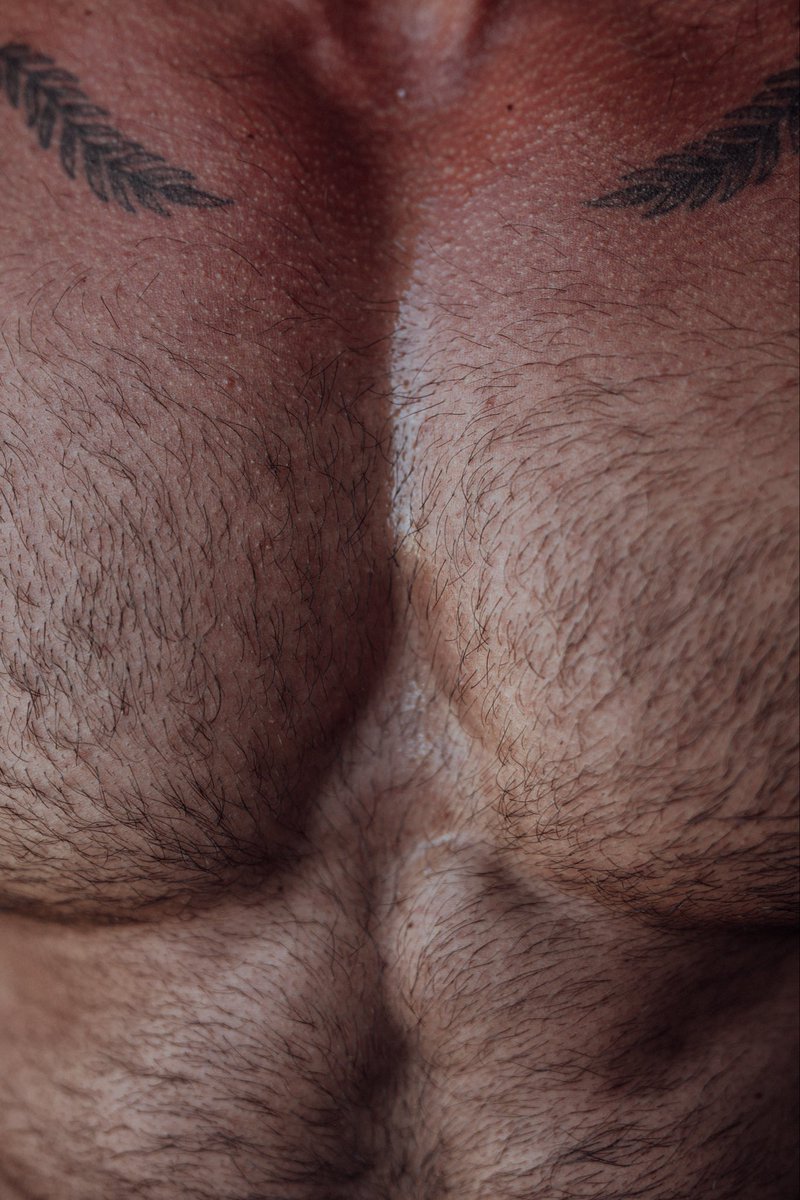 Adonis_Collective tweet media