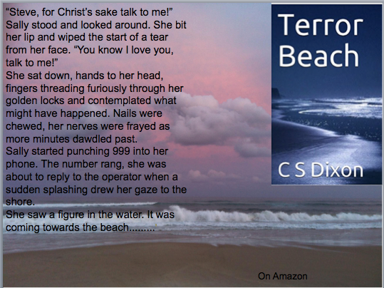 ChrisCsd1's tweet image. Sally and her boyfriend Steve, want a relaxing evening on a beach, away from their business worries, but that plan rapidly changes. Read why in Terror Beach!
#Mustread #Shortstory #Ghoststory #Mystery #Suspense #Ebook
"Great read!" 
amazon.com/Terror-Beach-C…
amazon.co.uk/Terror-Beach-C…