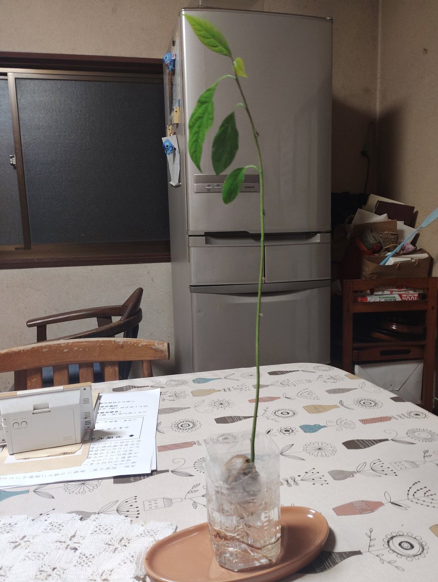 ree (@ree04597547) / Posts / X