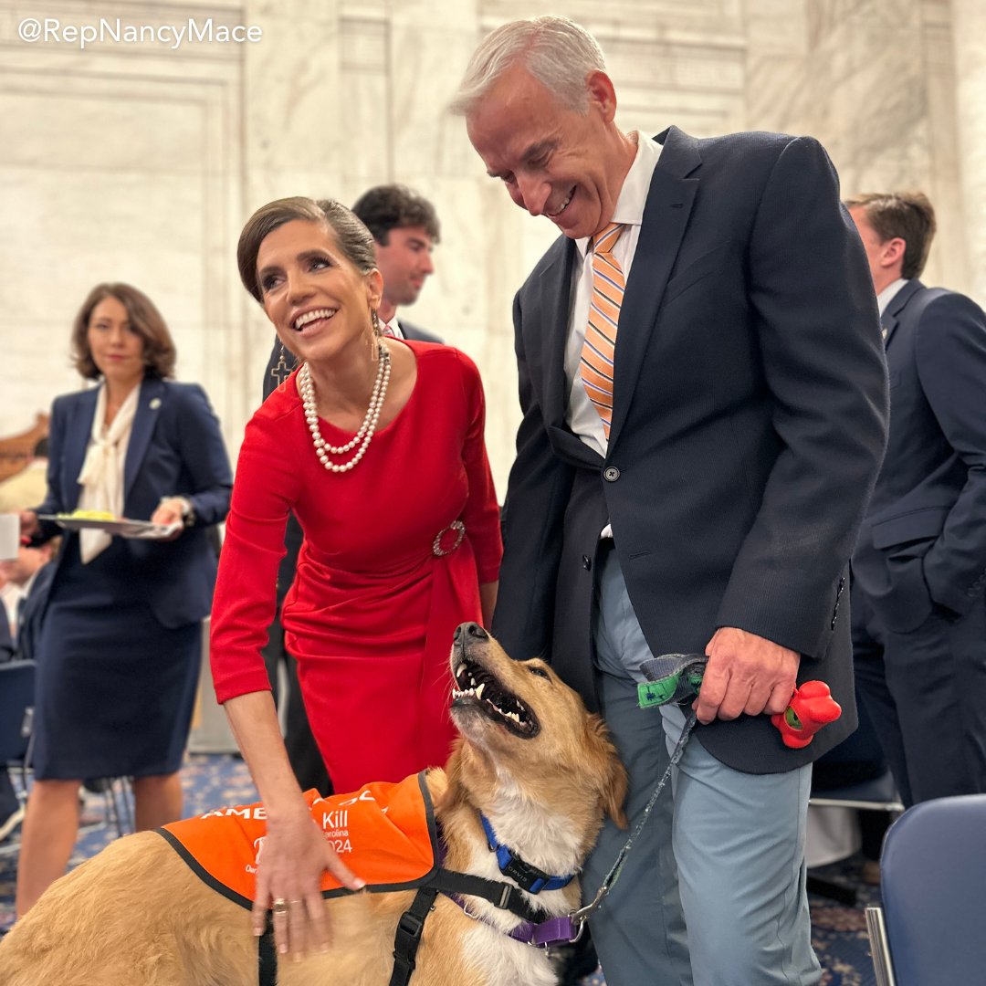 RepNancyMace's tweet image. We met Boo from the Charleston Animal Society. 🐾 

Their work in the Lowcountry is paws-itively vital. From rescuing animals to supporting veterans and first responders through service dog programs, they bring hope and healing to our community.