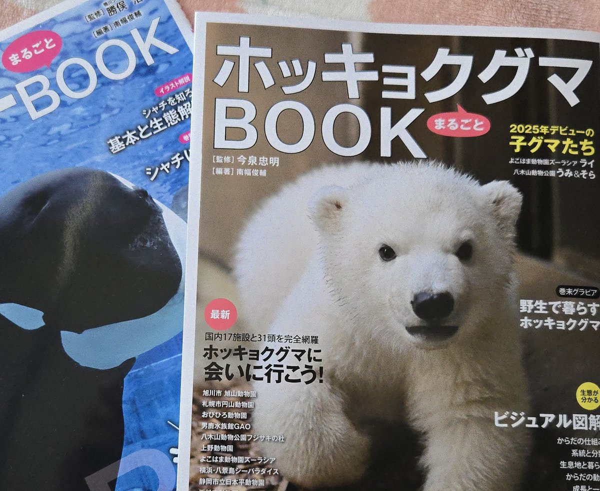 sasa_pandasuki's tweet image. 堪らんね。
飼育員さんのコメントもナイスです✨