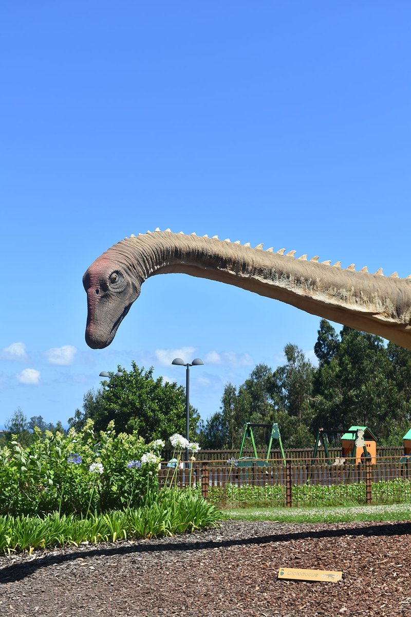 ⏰ Nuestro horario a partir del 1 de noviembre

🕙Miércoles, jueves y viernes, de 10 a 14:30h

🕥Sábados, domingos y 8 de diciembre, de 10:30 a 18h

❗Lunes y martes cerrado