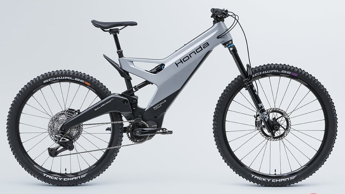 テンプルトンフレーム CLAYTON FRANKLIN のフォックスの最上級 フォルム、大きさ、色