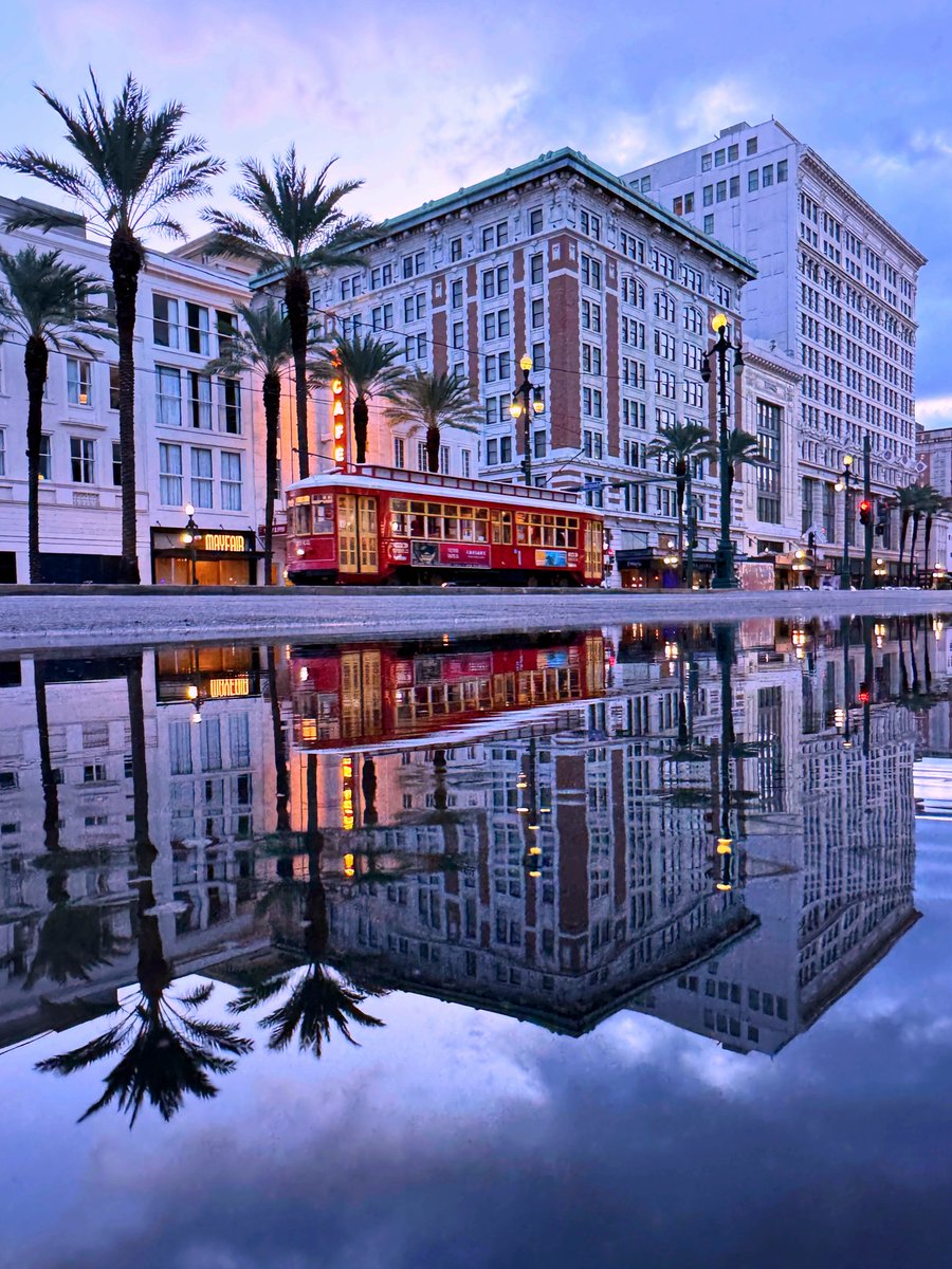 DavidMora's tweet image. Early morning reflections on Canal Street 🩵⚜️