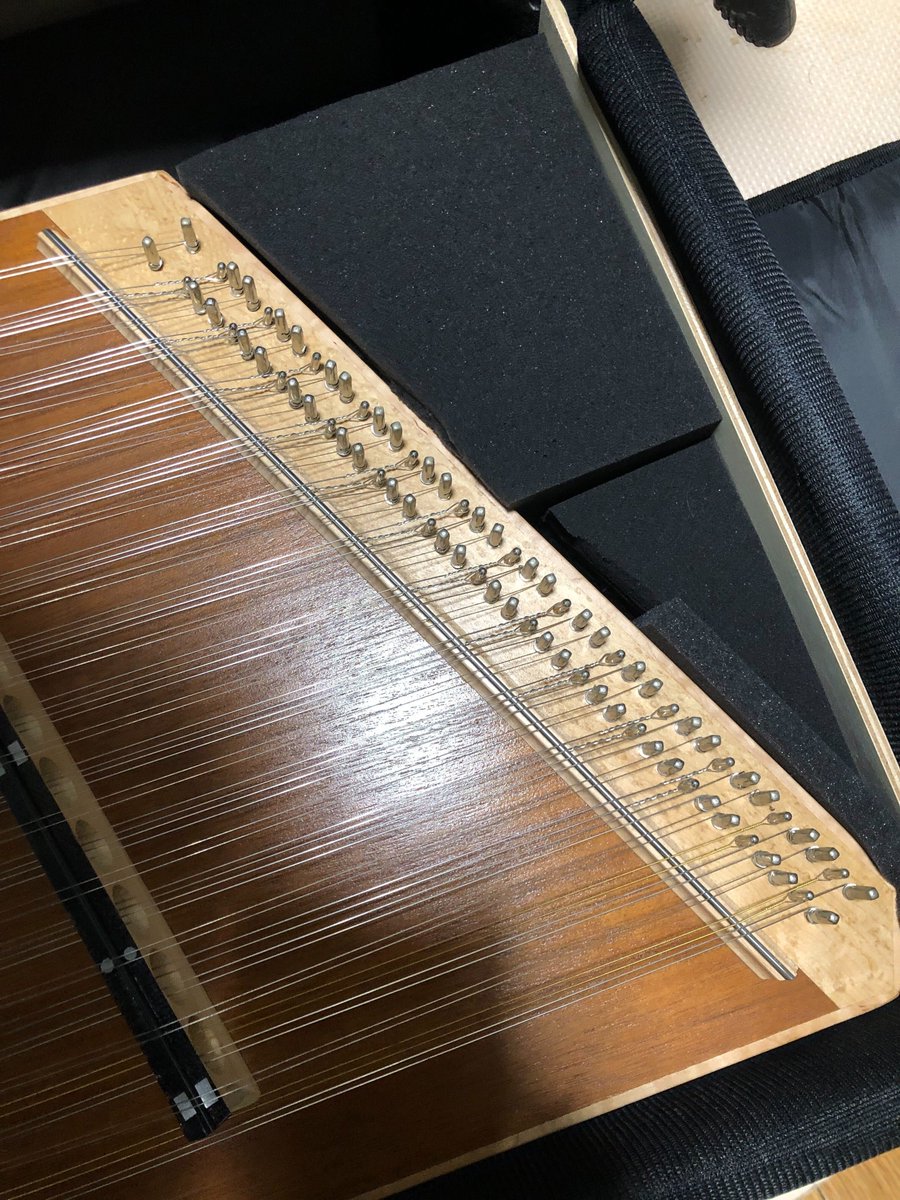 ハンマーダルシマーのソフトケース用にスポンジを切ってスペーサーを作った！
縦置きにしても安定するようになった！

これだけでカートに乗せたときの安心感が段違い。
背負ったときも傾いてこないのでかえって軽く感じるようにもなった。