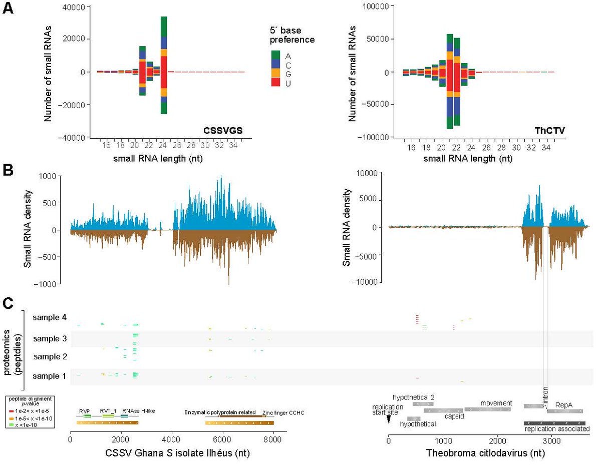 Eric Aguiar tweet media