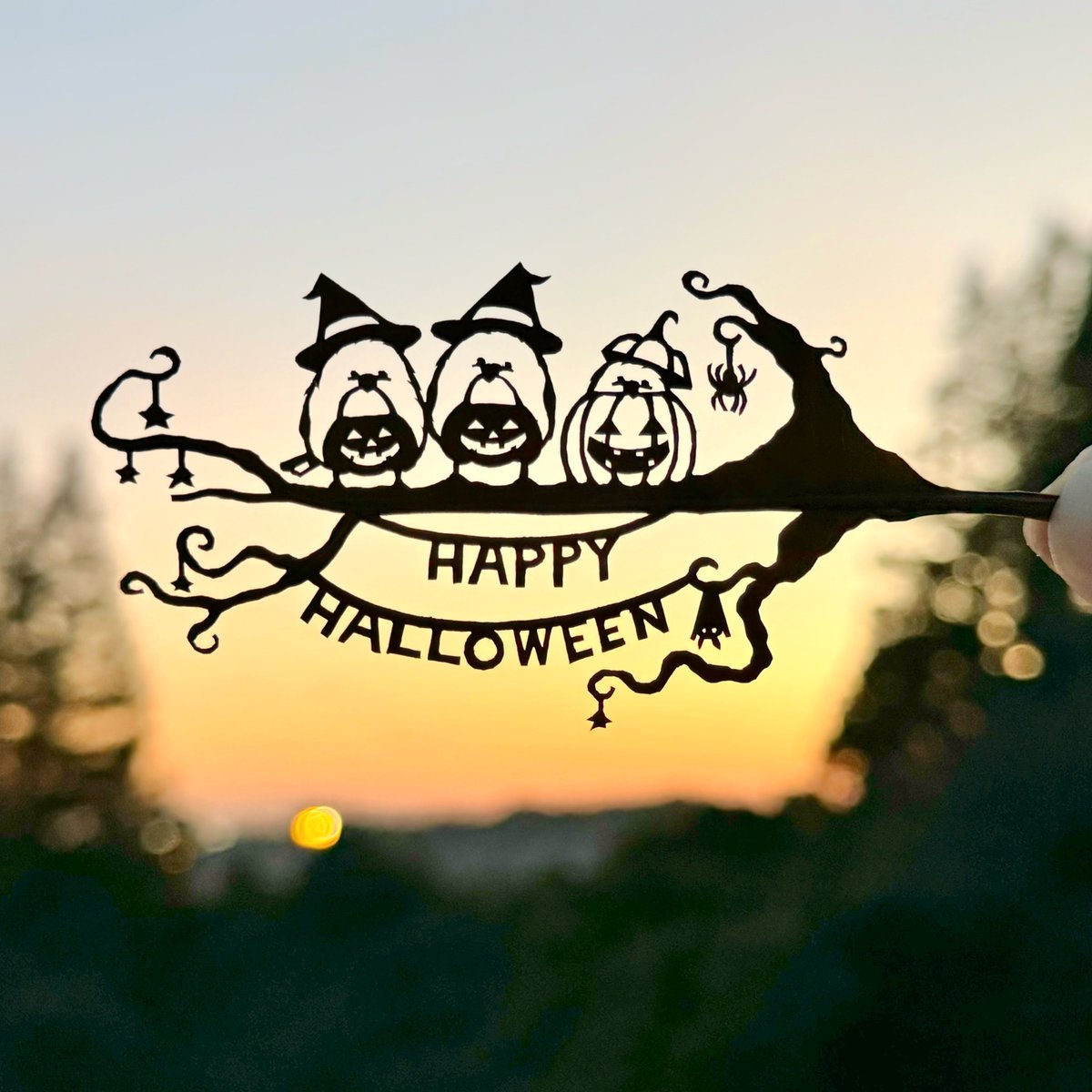 うさこ📚 (@usako_628) / Posts / X