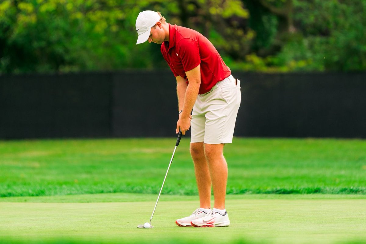 Temple Men's Golf tweet media