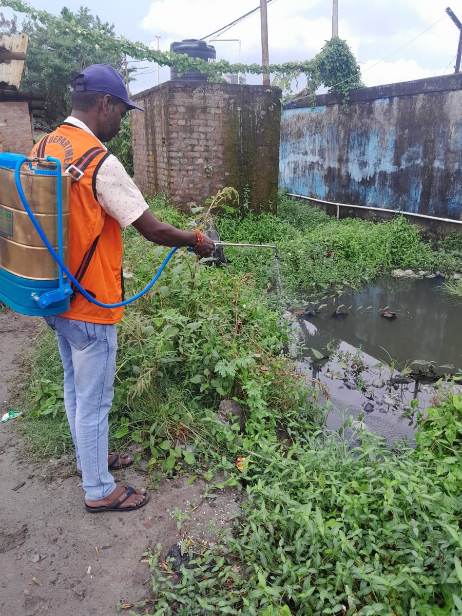 kmc_kolkata's tweet image. A few pictures of the frontline workers of the Vector Control Team on duty across the city.

#VectorControlByKMC #KMConDuty