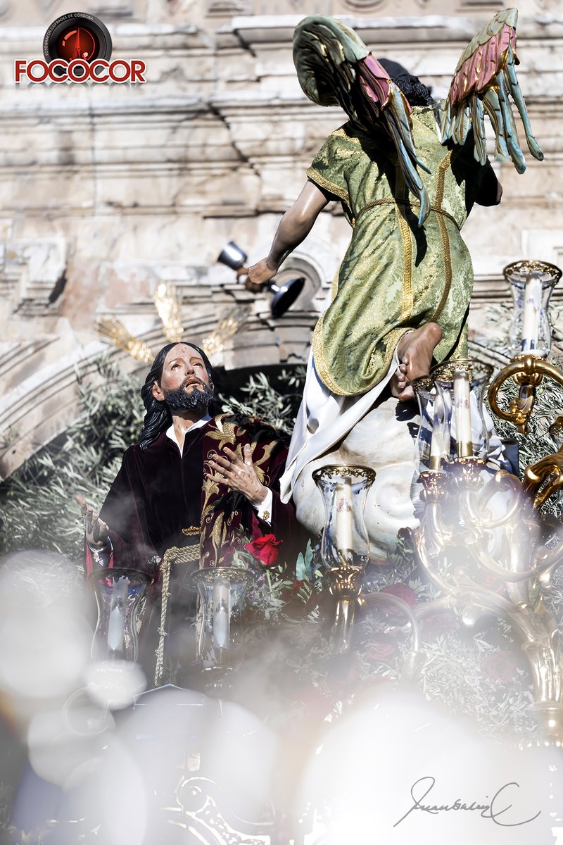 Magna de Córdoba (II)