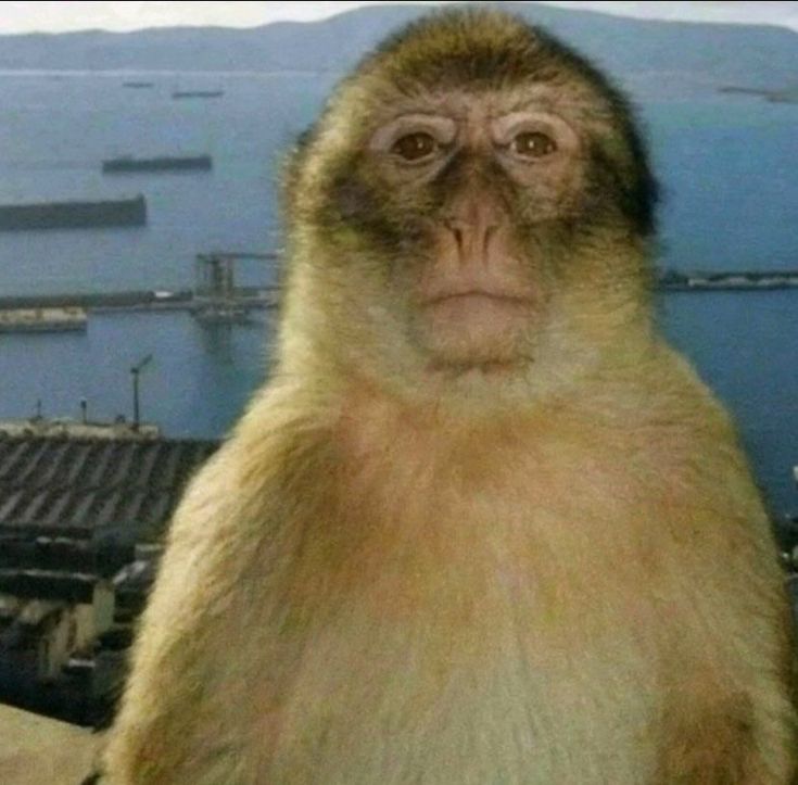 8293829 tane video izleyip hepsini kafamda birleştirerek dunyanin ennnnnn guzel pastaci kremasini yaptim ama o kadar uyduraraj goz karari yaptim ki elimde tarif yok 😞 bi daha asla bole olmicak