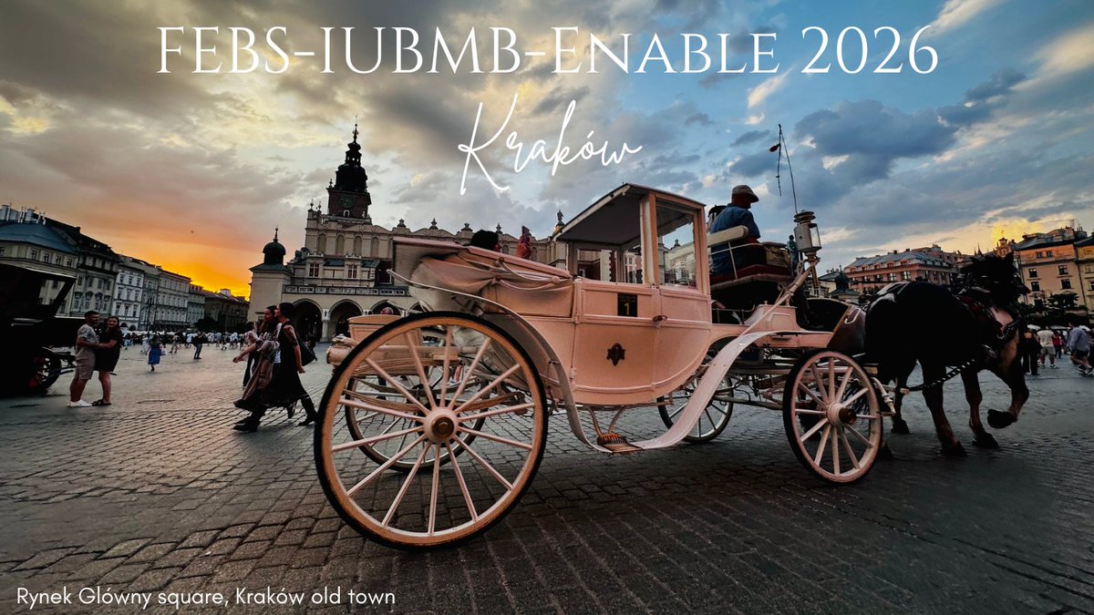 ENABLE Conference tweet media