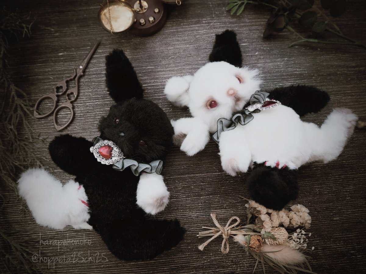 ハラペコ (@hoppeta25chi25) / Posts / X