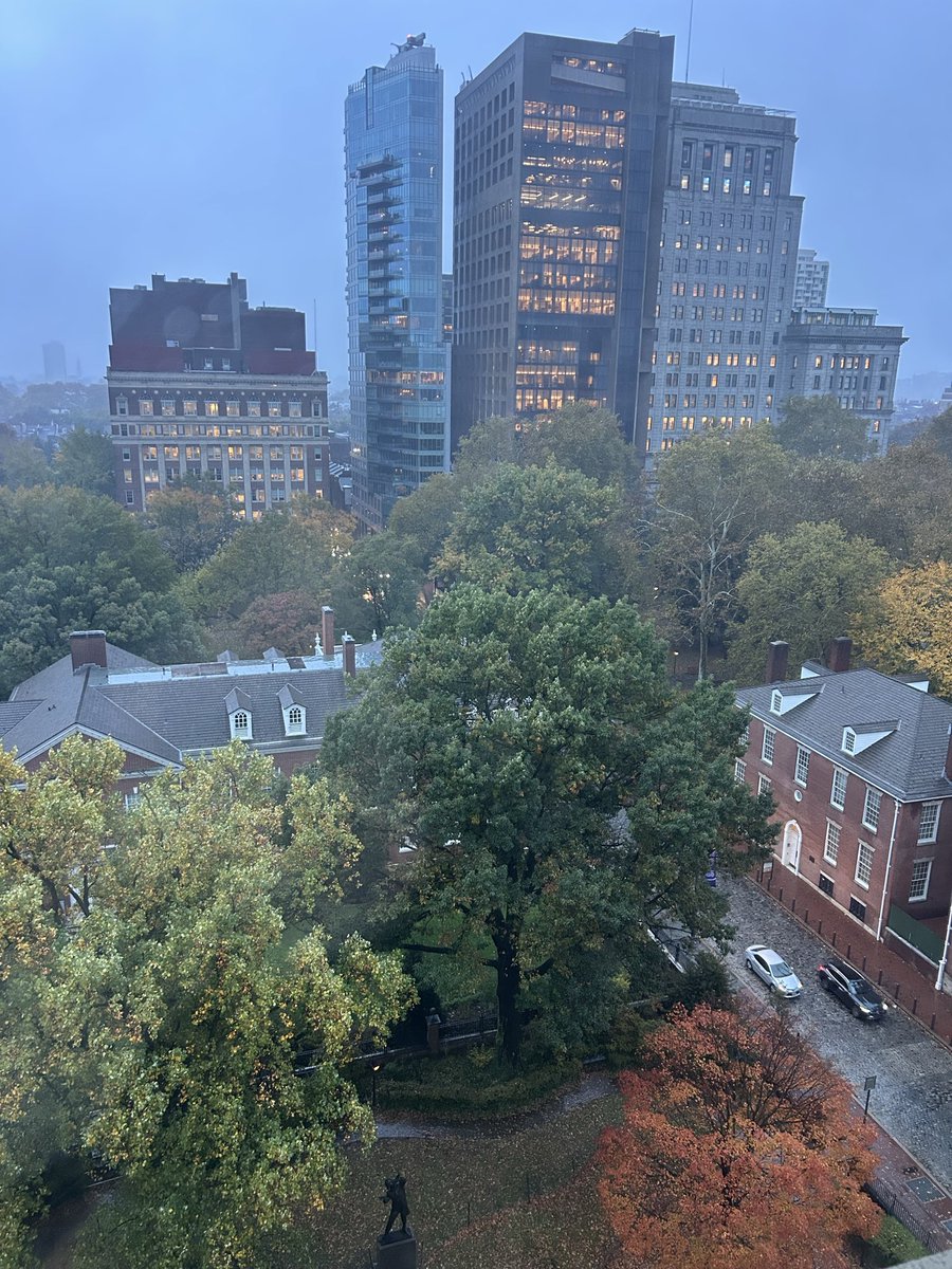 veteranesquire's tweet photo. Glad I got to see some leaves this year, but I’m ready to get back to my Miami warmth 😎 https://t.co/no21rsBKwG