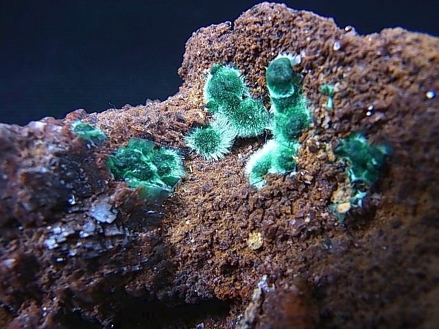 パーフェクトストーン on X