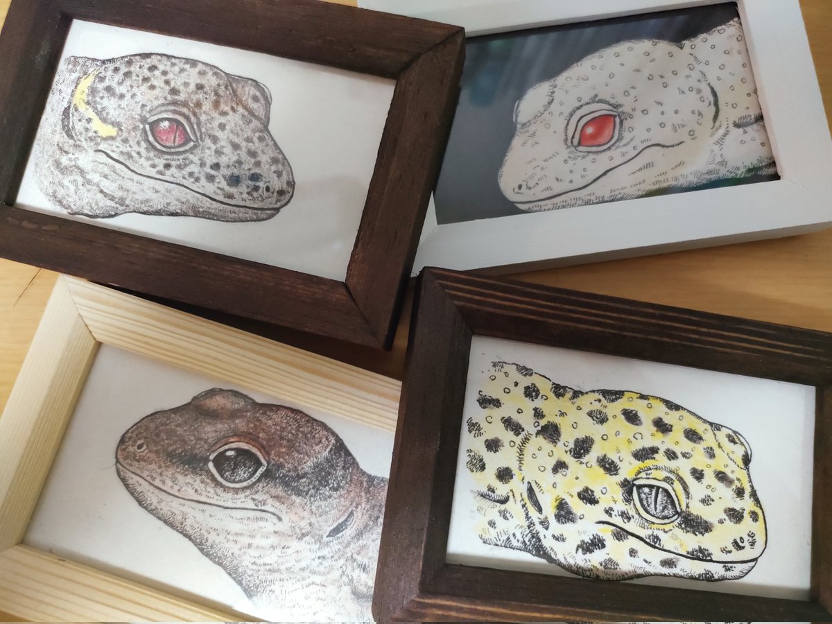 ひいらぎページ ひいらぎcraft (@hiiragicraft) / Posts / X