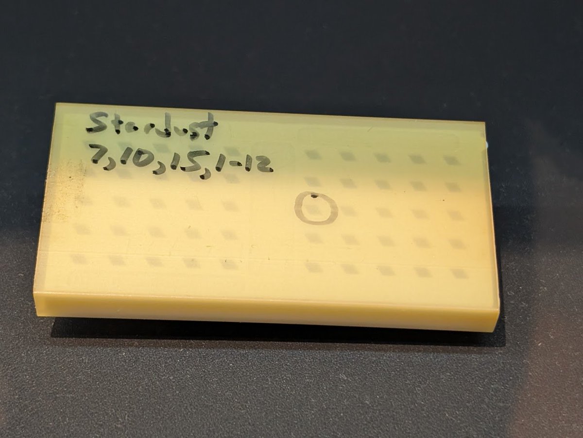 エクセルシオール　パラドクサ！　標本！2 かぶぶくわわ on X