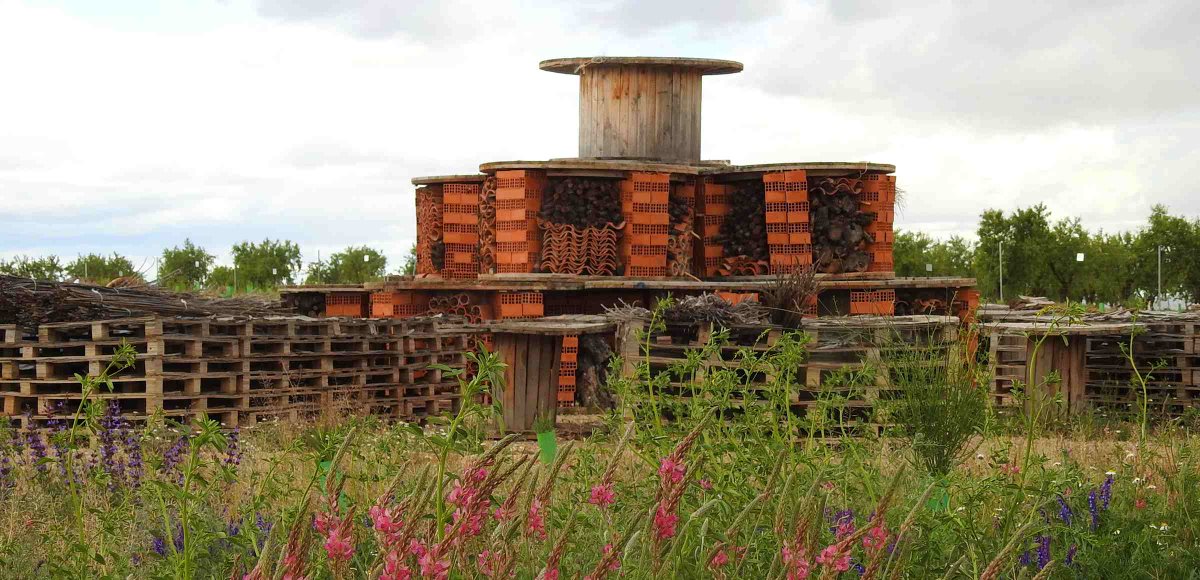 Endesa's tweet photo. @rincondelaabeja @RVCabriel Esta diversidad de flora y fauna se puede ver favorecida por otras iniciativas complementarias, como la construcción de un refugio de insectos que aspira a entrar en el libro Guinness de los récords.

Descubre más sobre Minglanilla en @hoyextremadura. https://t.co/ePjJB4QHQ8 https://t.co/RUeKWrx39i