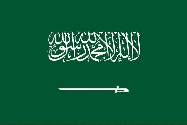 Talin_05's tweet photo. لا يحارب السعودية إلا أحد أربعة : 

١- ليبرالي يكره الإسلام .
٢- رافضي يبغض السنة . 
٣- خارجي يكفر آل سعود .
٤- إمعه يقلد أحد هؤلاء الثلاثة ..
حفظ الله بلاد التوحيد  أرض الحرمين🇸🇦☝🏻🌴 https://t.co/bXzDafzoPA