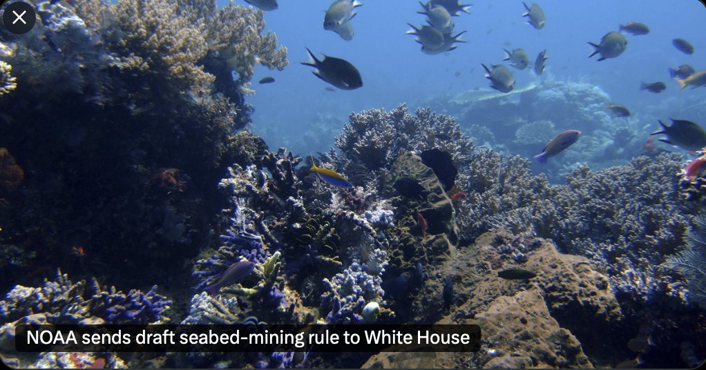 POLITICO Pro reports NOAA has sent its draft deep-sea mining rule to the White House ‘that would streamline permitting’ for U.S. companies advancing seafloor mineral development in international waters. Important work by <a href="/NOAA/">NOAA</a> to enable responsible access to critical minerals