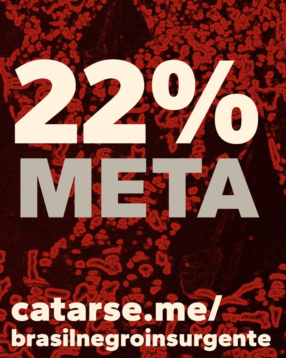 Cada contribuição é um passo para romper o silêncio.
Seguimos construindo, página a página, uma história que não aceita apagamentos.
Obrigado a quem já acreditou nesta caminhada, ainda há muito a conquistar.
catarse.me/brasilnegroins…
