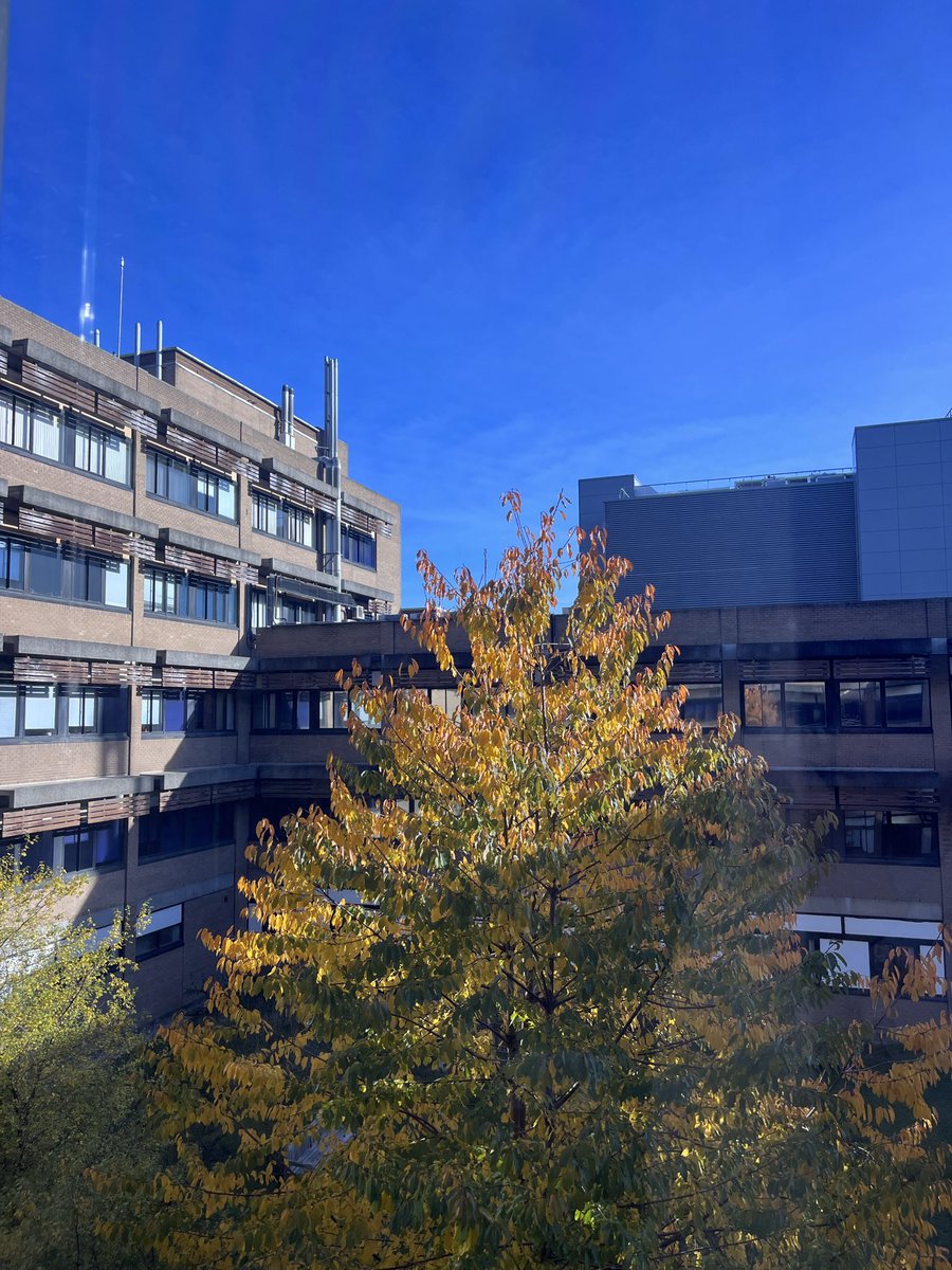 A beautiful autumn day 🍂 spent between lab and clinical research at the <a href="/UniofNewcastle/">Newcastle University</a> &amp; <a href="/NewcastleHosps/">Newcastle Hospitals</a> dermatology laboratories. Feeling very privileged to continue my dermatogenetics work in year 2 of my Academic Clinical Fellowship with <a href="/NIHRNewcBRC/">NIHR Newcastle BRC</a>