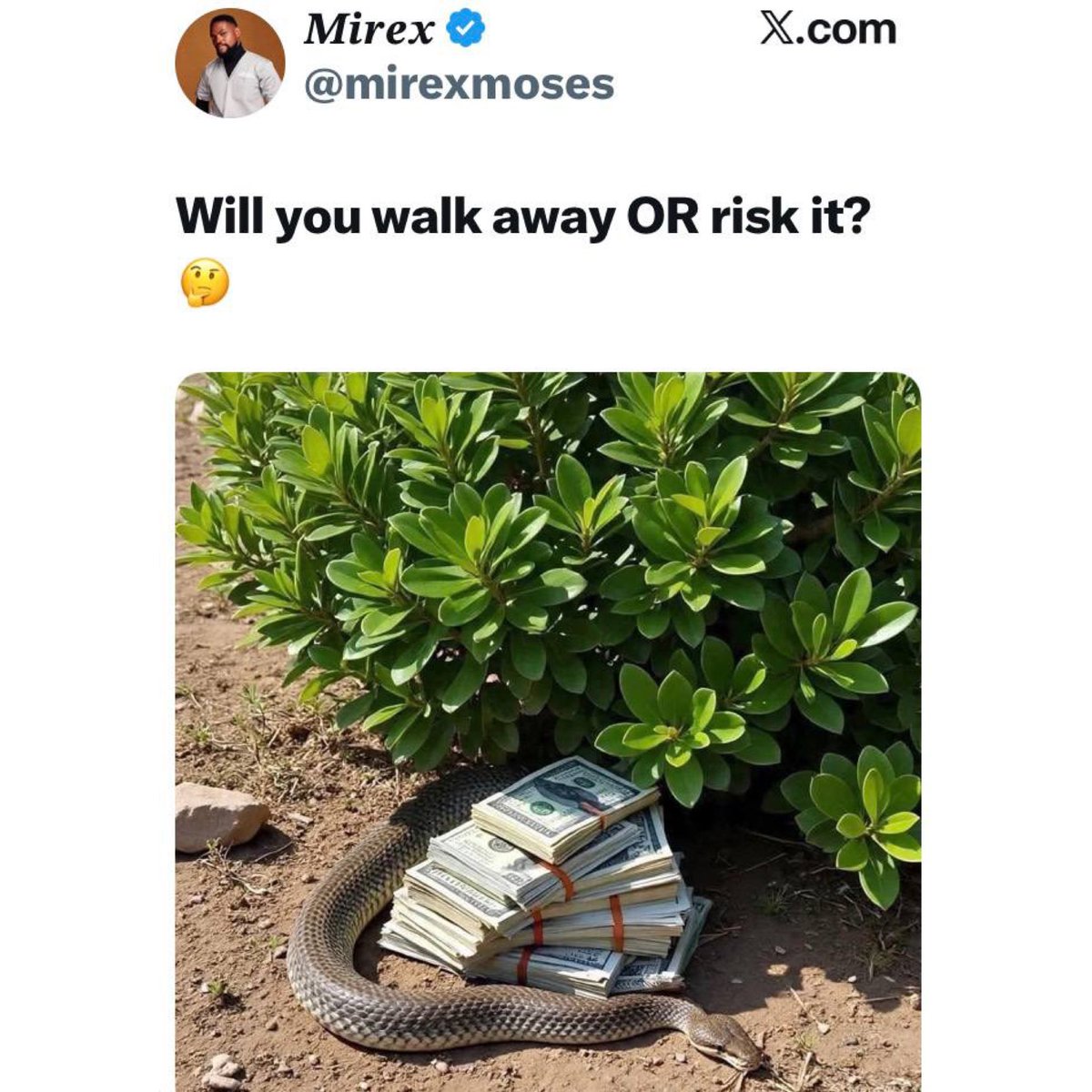 instablog9ja's tweet image. What Will You Choose?