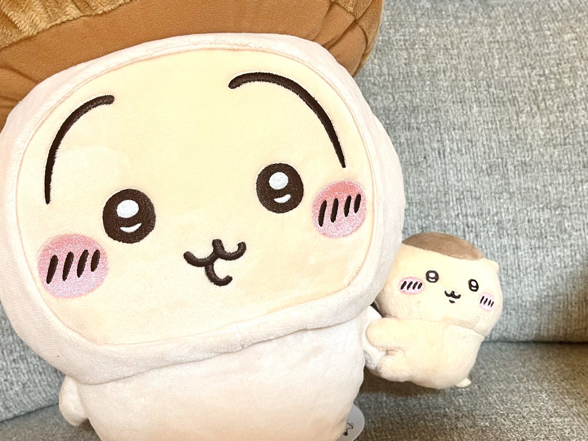 mi (@Mi_chiikawa2024) / Posts / X