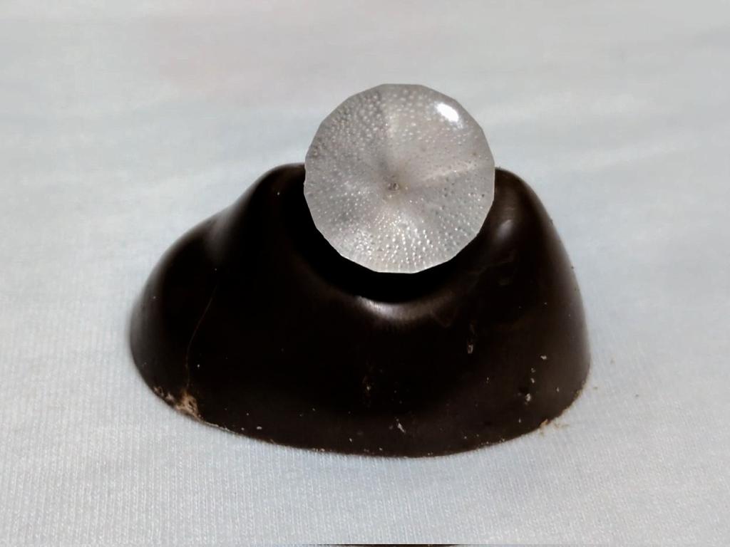 チョコ様 venusandmars1975 on X