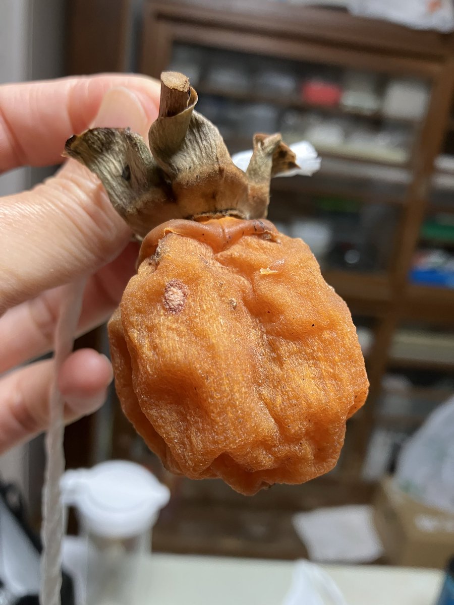 Mayuページ MAYU (@WKrPCHMxcU72P9I) / Posts / X