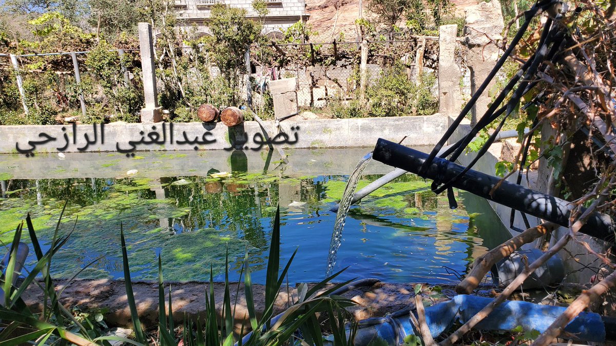 aalrazhy8's tweet photo. بعدستي https://t.co/y1UsXzMgkO