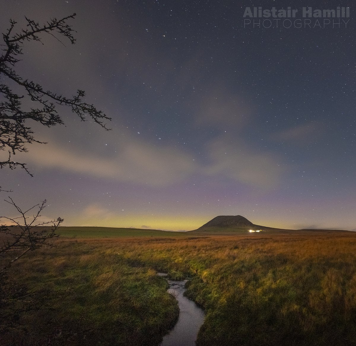 Alistair Hamill tweet media